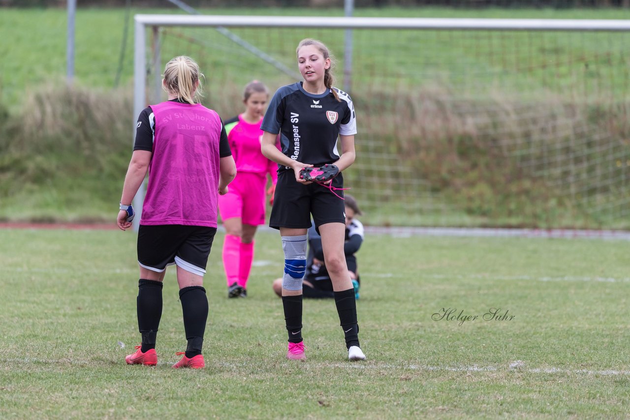 Bild 380 - Frauen Grossenasper SV - SV Steinhorst/Labenz : Ergebnis: 1:3